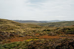 Deya Brewery // Peatland Restoration