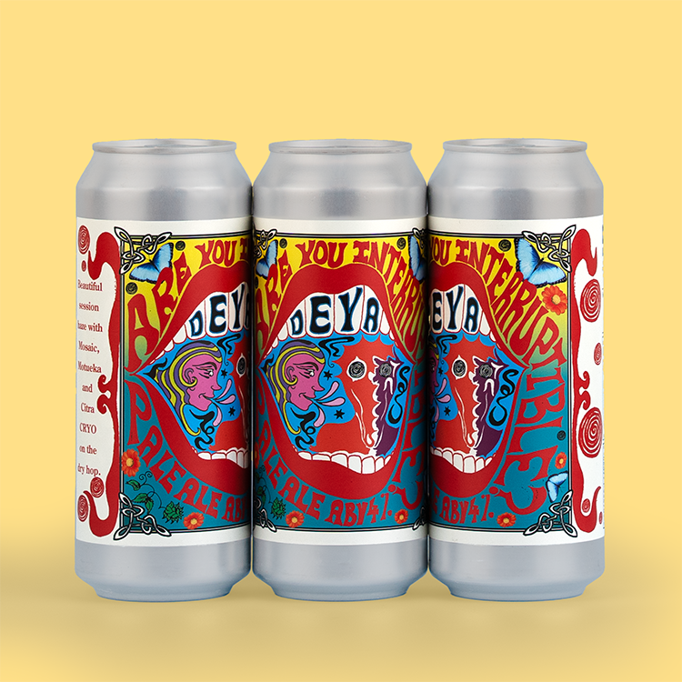 500ML - ARE YOU INTERRUPTIPLE? - 4.0% - PALE ALE