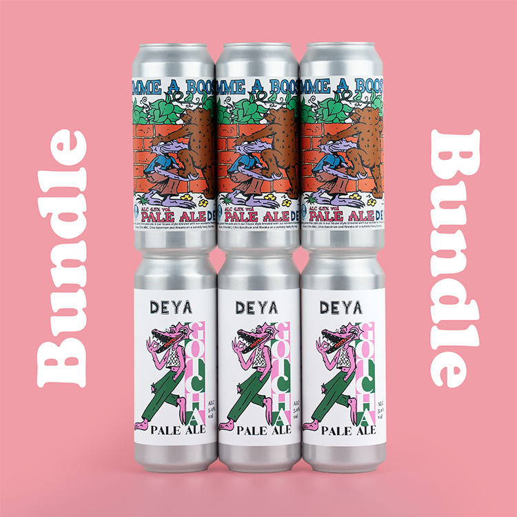500ML 6 PACK - PALE ALE BUNDLE  - 5.0% / 4.5% - PALE ALE / PALE ALE