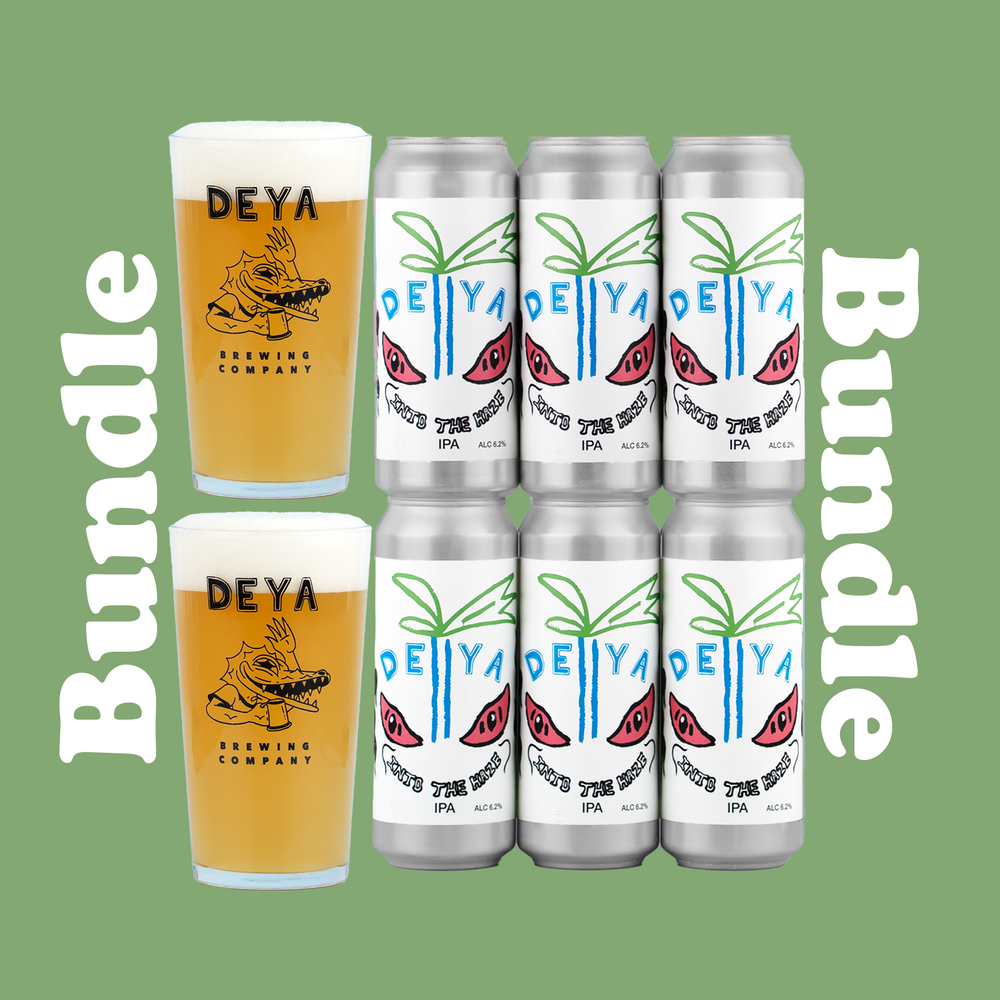6 PACK & PINT GLASSES BUNDLE - INTO THE HAZE - 6.2% - IPA