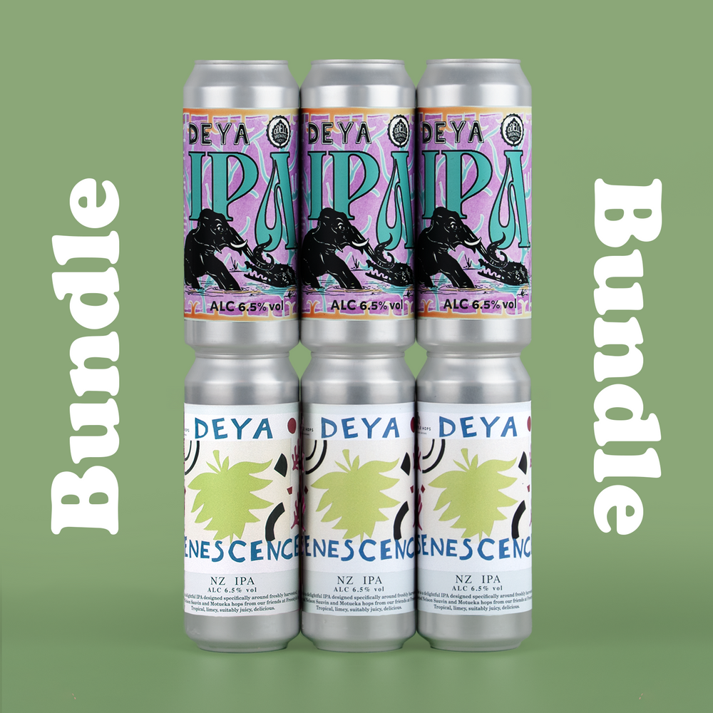 500ML 6 PACK - IPA PACK - 6.5% / 6.5% - IPA / IPA