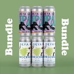 500ML 6 PACK - IPA PACK - 6.5% / 6.5% - IPA / IPA