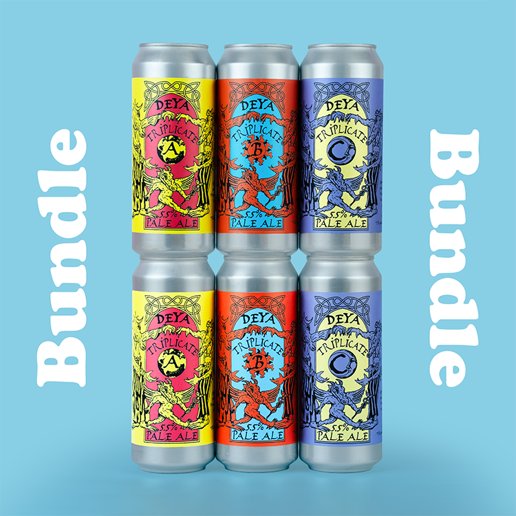 500ML 6 PACK - TRIPLICATE BUNDLE - 5.5% / 5.5% / 5.5% - PA / PA / PA