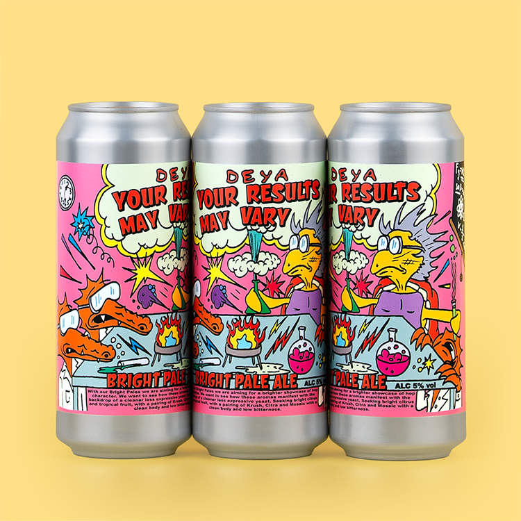 3 x 500ml can of DEYA Your Results May Vary Pale Ale 