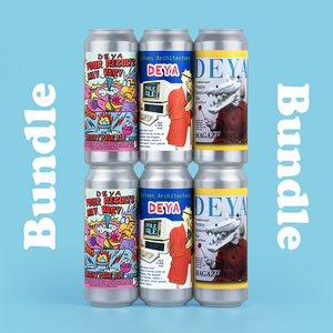 DEYA Pale Ale Bundle 6 pack inc 2 x Your Results May Vary Pale Ale, 2 x Systems Architecture Pale Ale & 2 x Magazine Cover Pale Ale 