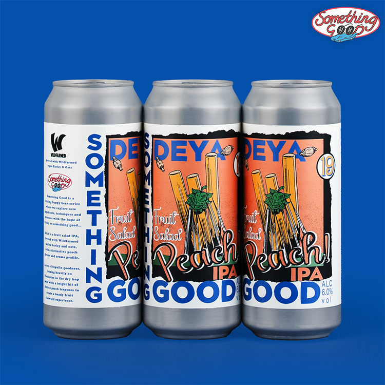 500ML 6 PACK & GLASS - SOMETHING GOOD GLASS  BUNDLE - 6.0% / 6.0% - IPA / IPA