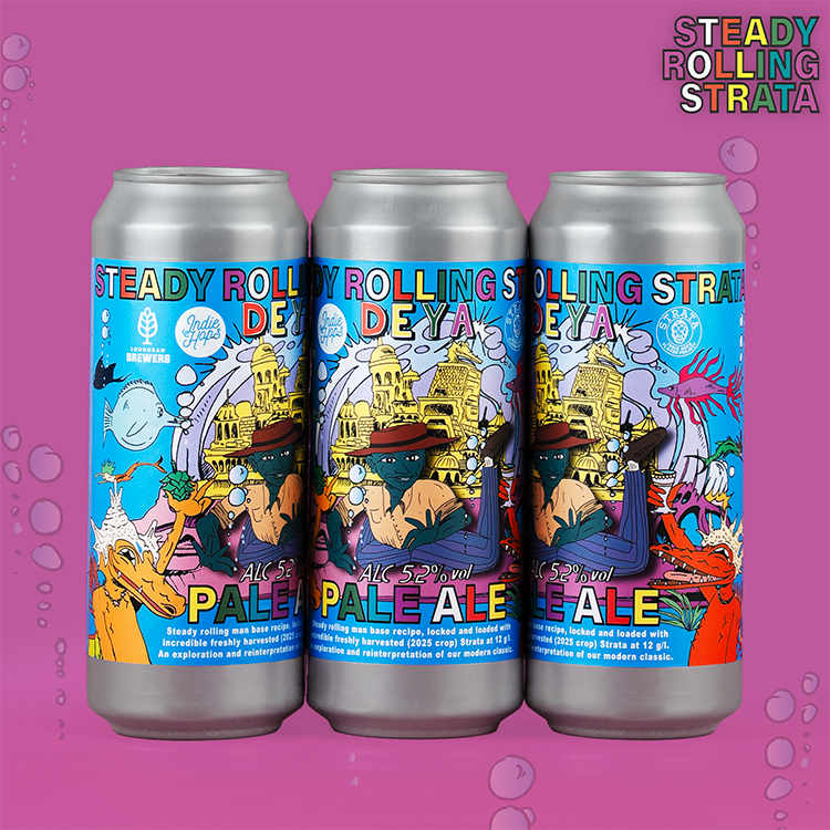 500ML 6 PACK - STRATA BUNDLE - 5.2% / 10% - PA / TIPA